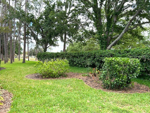 11752 Wayside Willow Court Hudson FL 34667 TB8375204 image22