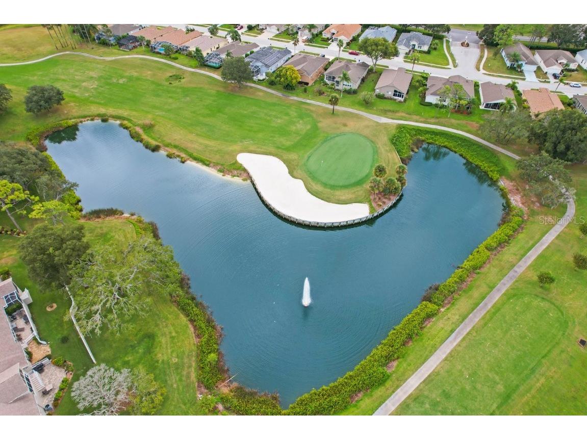 11752 Wayside Willow Court Hudson FL 34667 TB8375204 image38