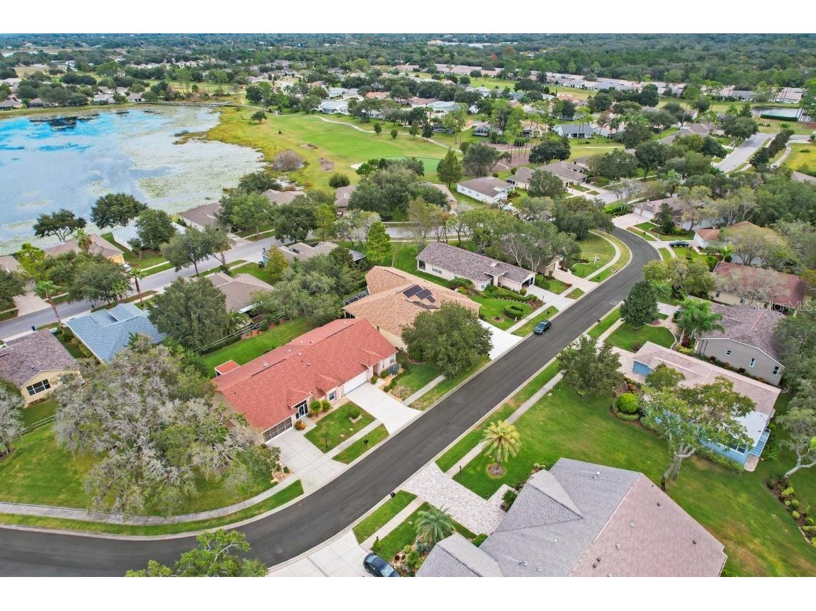 11752 Wayside Willow Court Hudson FL 34667 TB8375204 image39