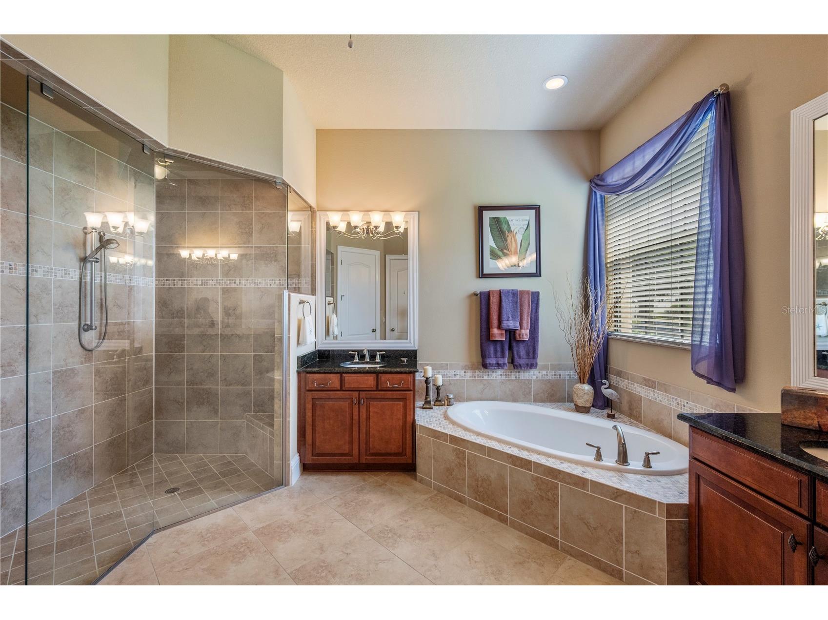 11753 Vinci Drive Windermere FL 34786 - THE GARDENS POND O6404892 image26