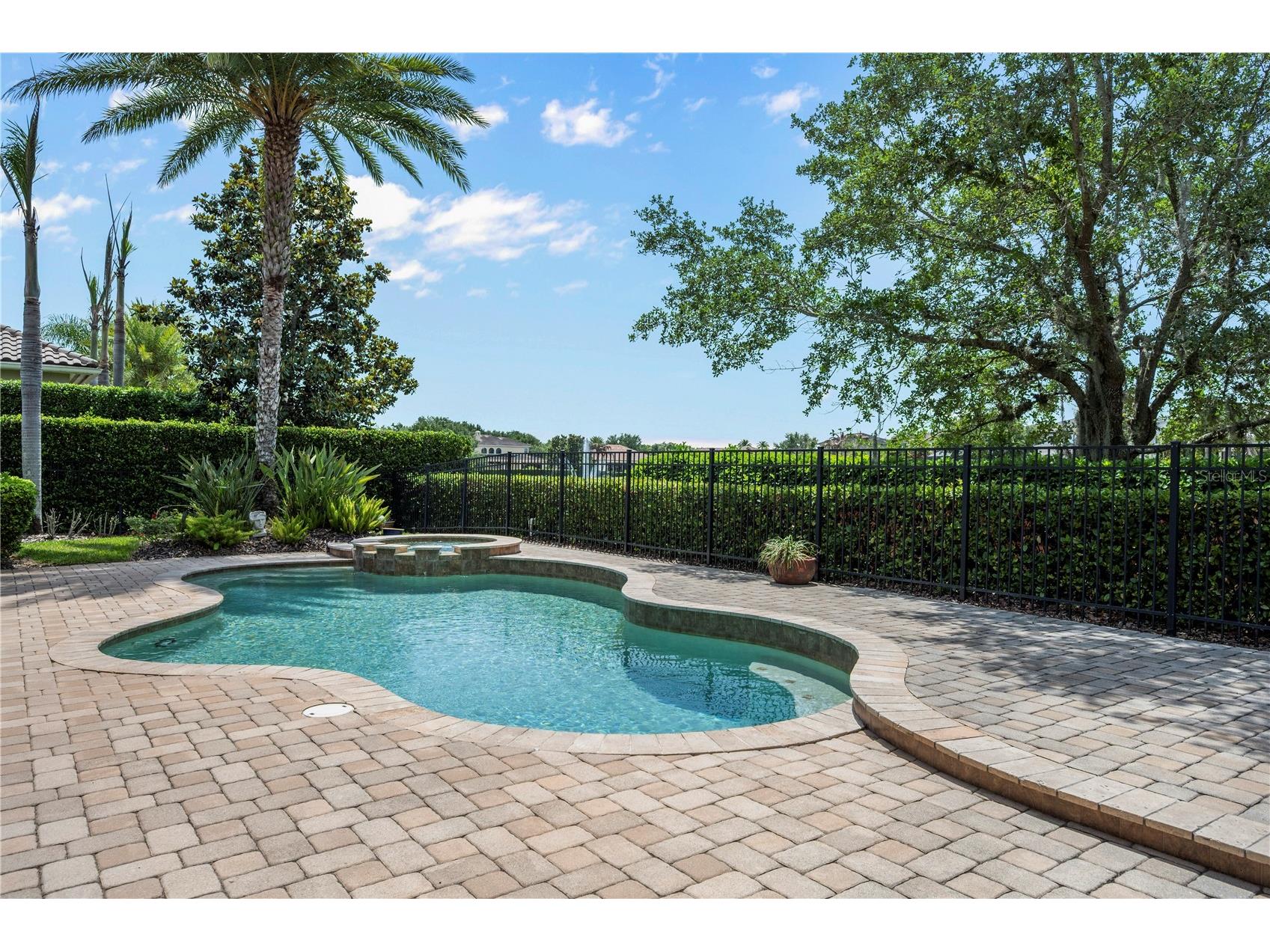 11753 Vinci Drive Windermere FL 34786 - THE GARDENS POND O6404892 image41