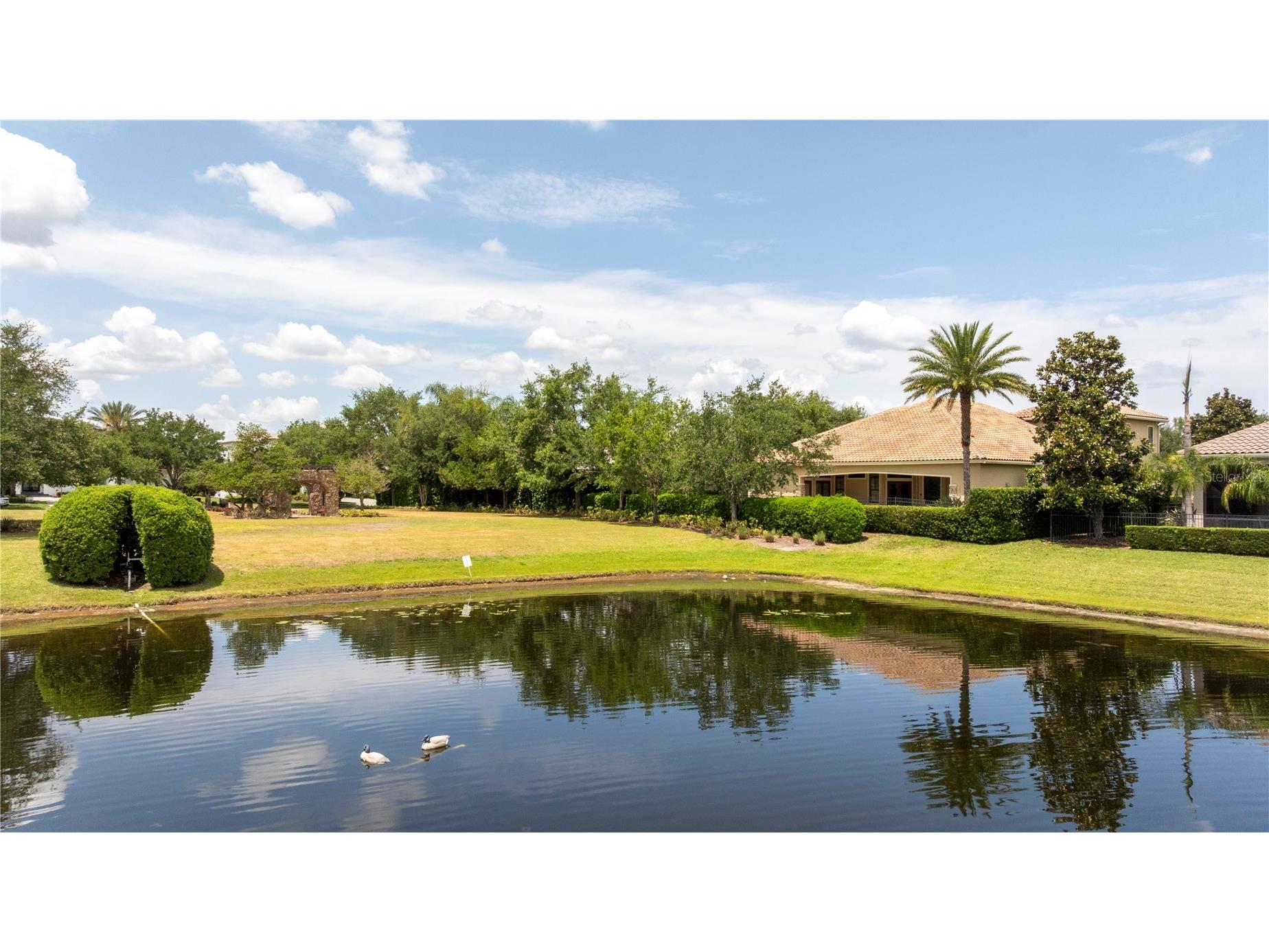 11753 Vinci Drive Windermere FL 34786 - THE GARDENS POND O6404892 image49