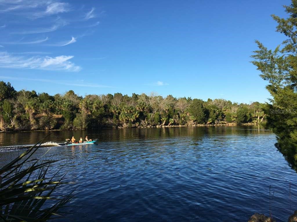 11754 N Belluzzi Terrace Dunnellon FL 34433 O6390812 image17