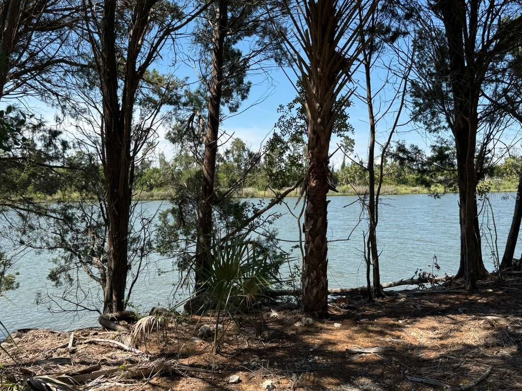 11754 N Belluzzi Terrace Dunnellon FL 34433 O6390812 image6