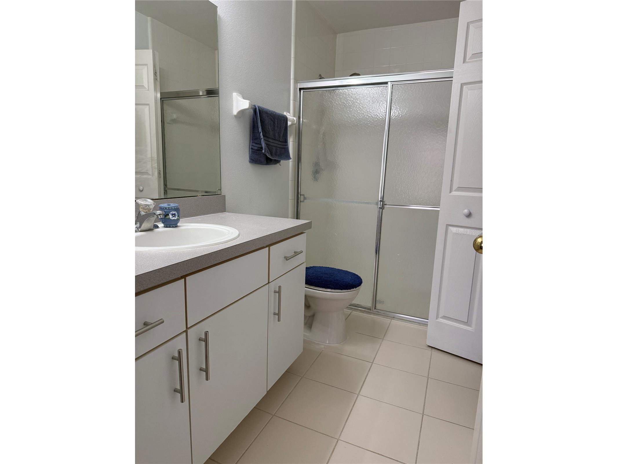 11755 Foxglove Drive Clermont FL 34711 S5144080 image12