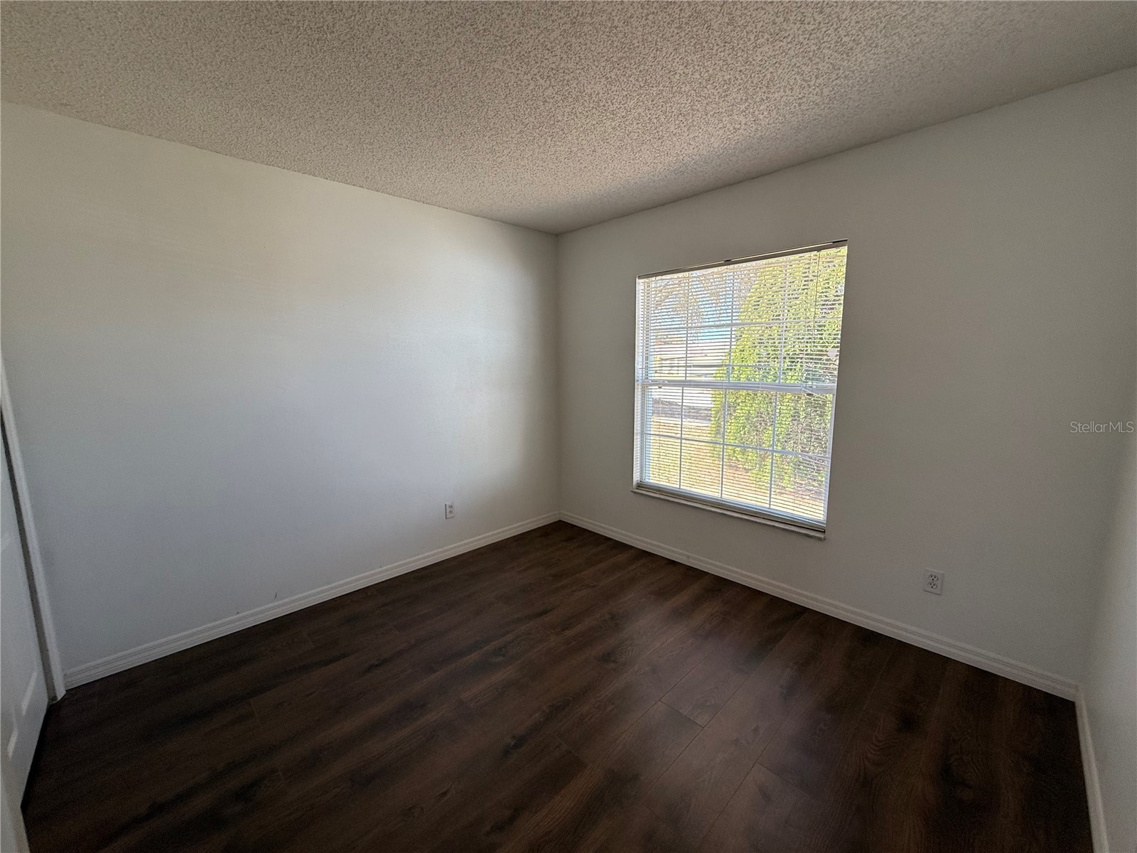 11755 Foxglove Drive Clermont FL 34711 S5144080 image7