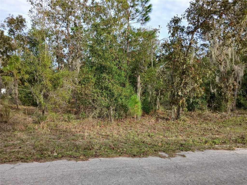 11755 N Belluzzi Terrace Dunnellon FL 34433 OM689250 image1