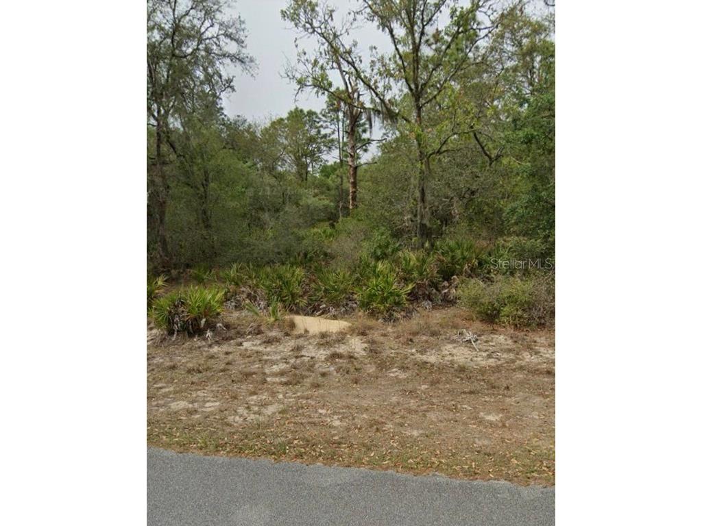 11755 W Belvedere Street Crystal River FL 34428 A4613632 image1