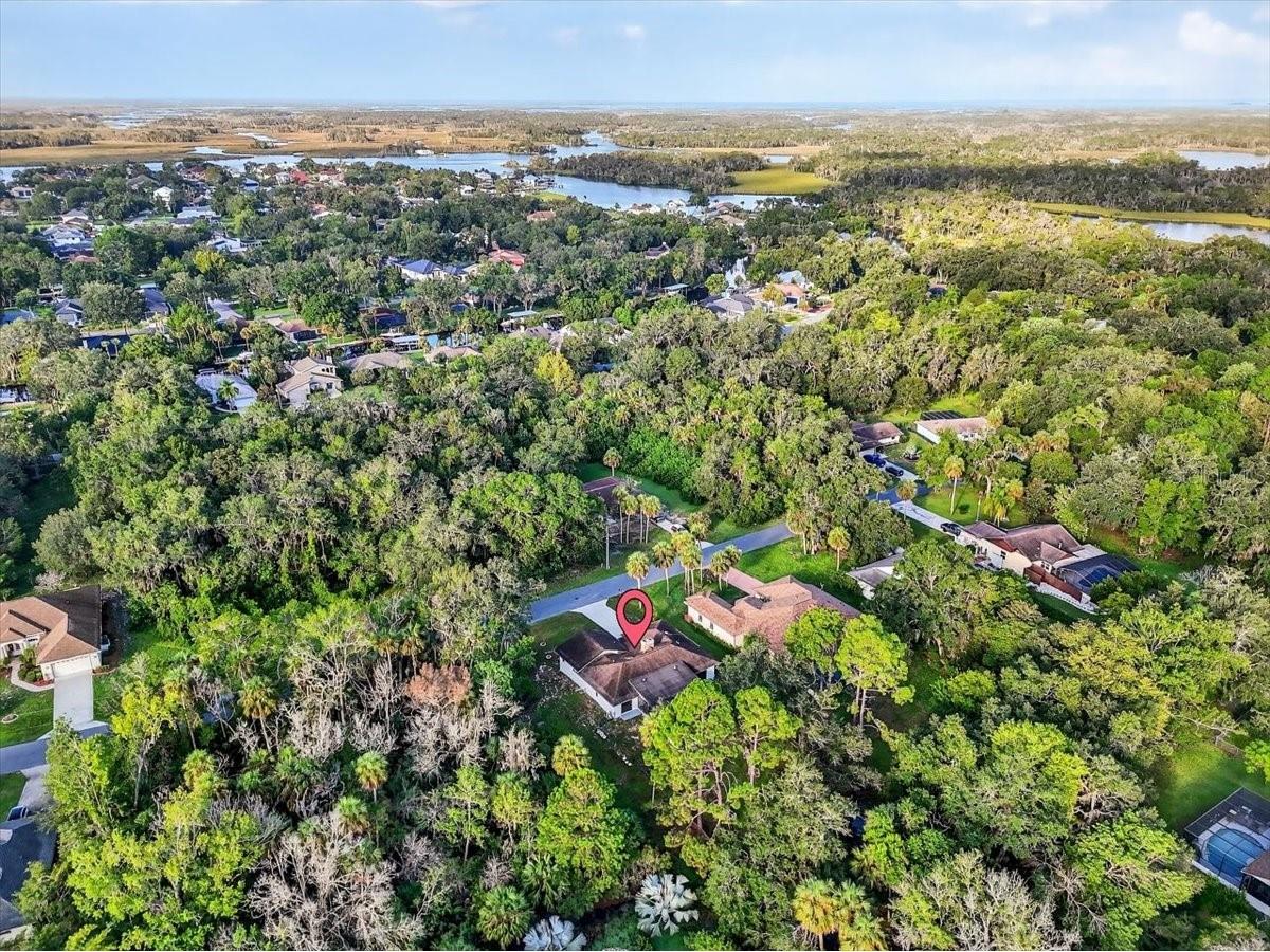 11755 W Fisherman Lane Homosassa FL 34448 TB8409439 image39