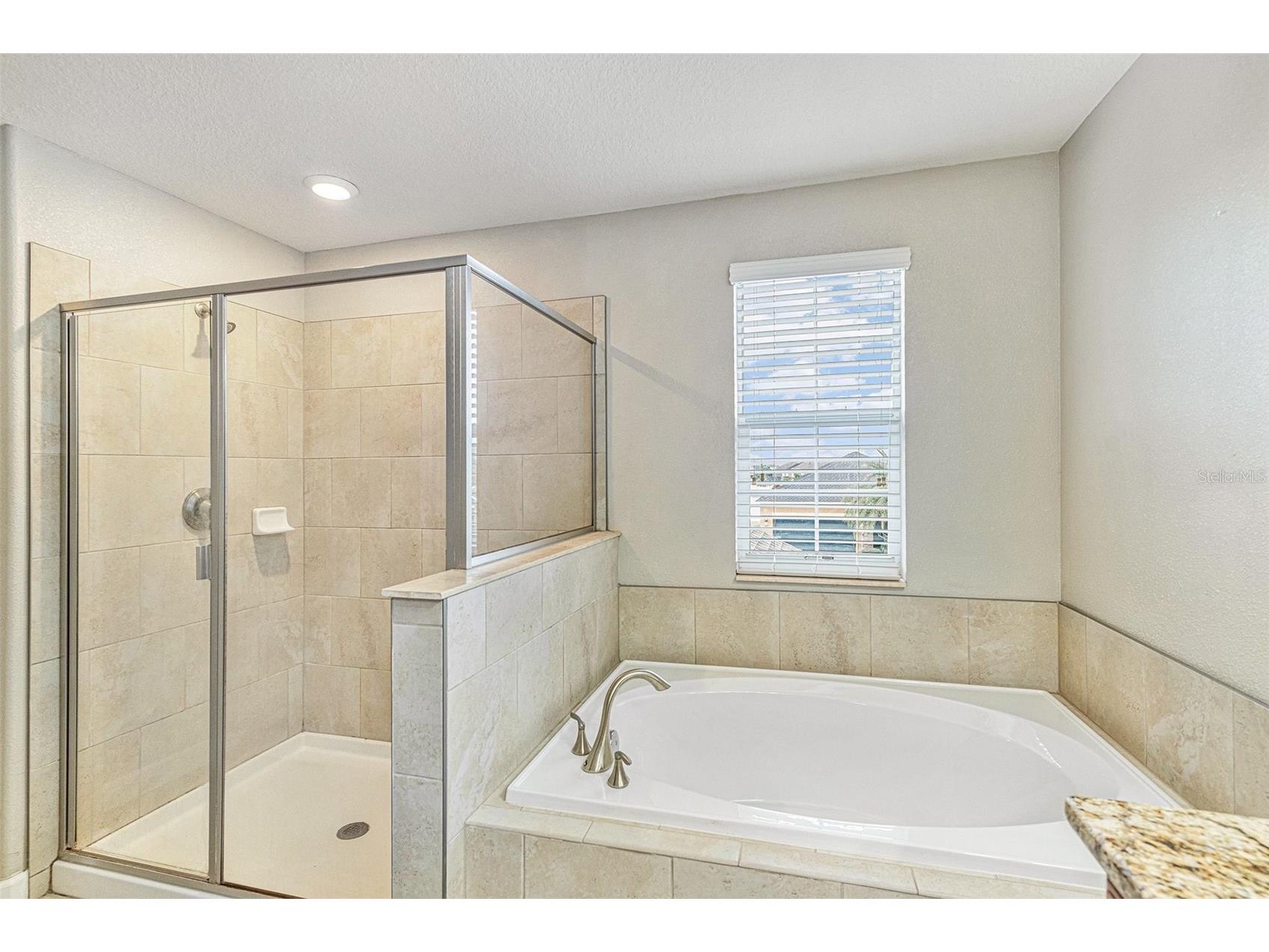 11755 Winterset Cove Drive Riverview FL 33579 O6387121 image17