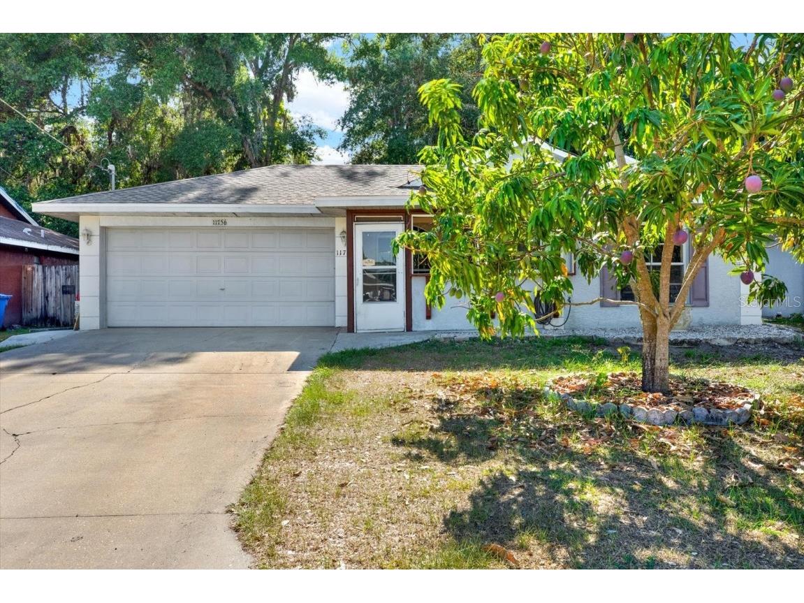 11756 Lynn Brook Circle Seffner FL 33584 T3529238 image1