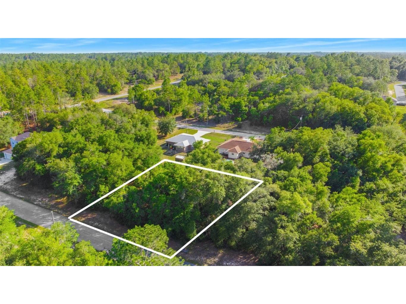 11756 Monica Drive Citrus Springs FL 34433 U8203975 image1