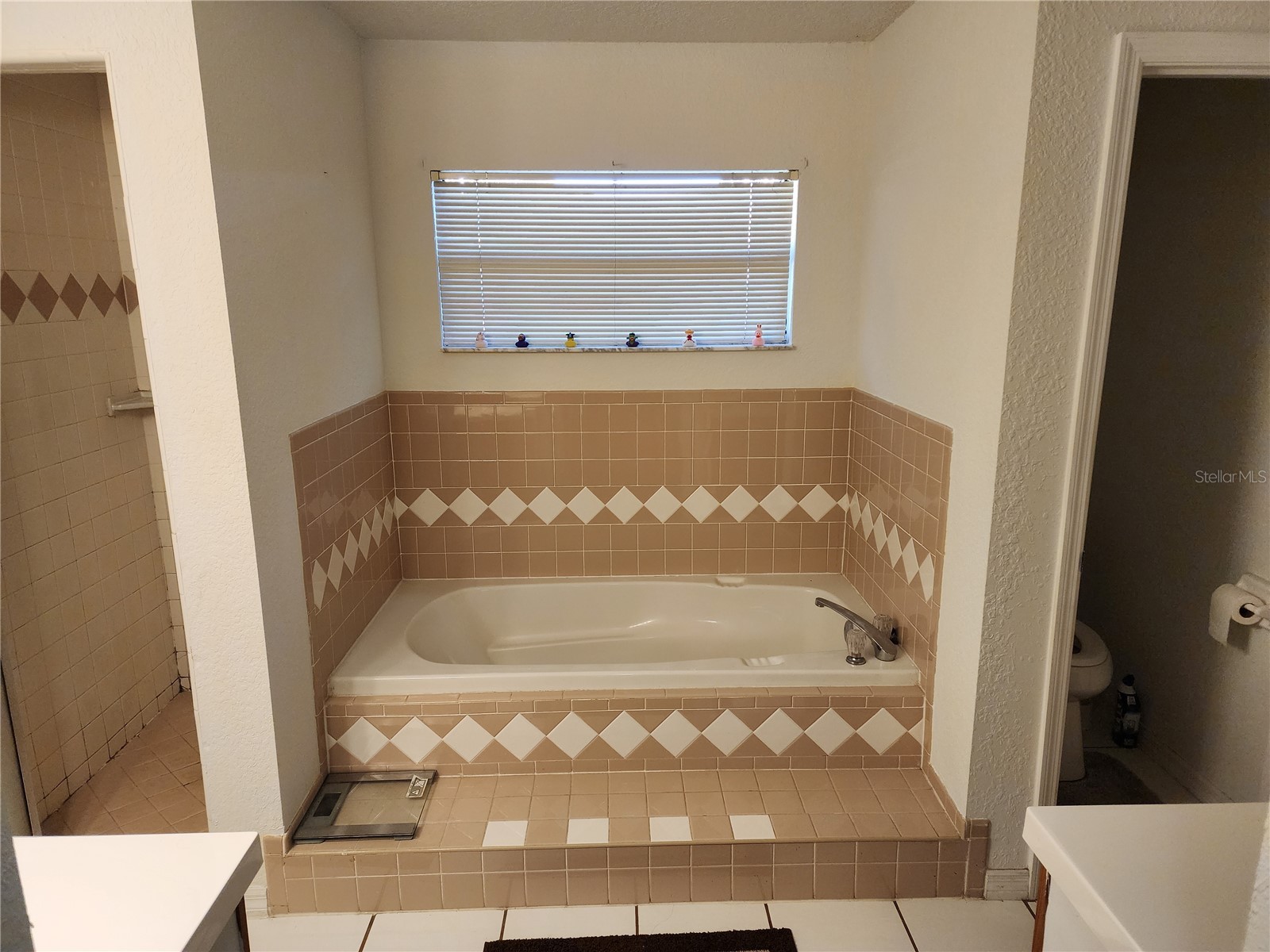 11759 Oswalt Road Clermont FL 34711 O6370497 image13