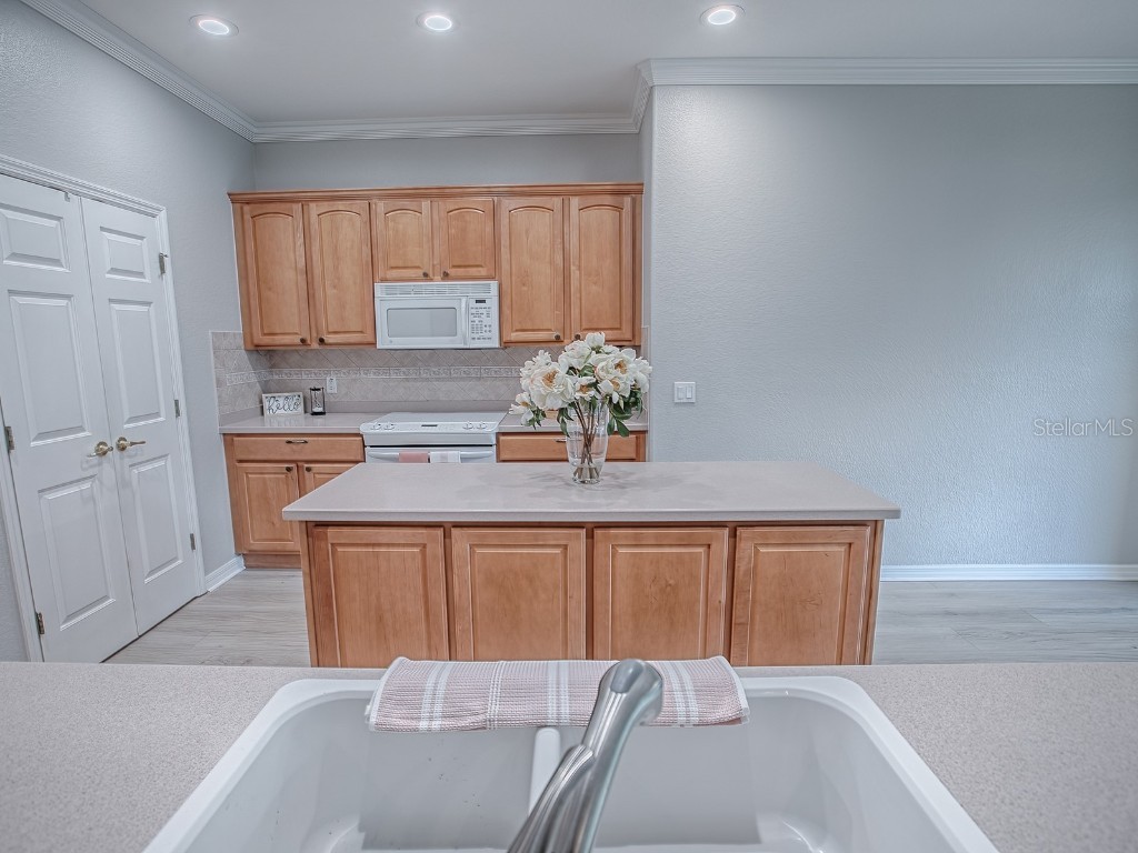 11759 SE 91st Circle Summerfield FL 34491 G5102987 image14