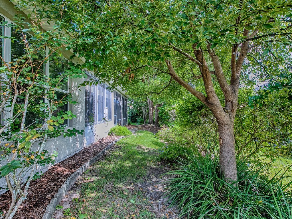 11759 SE 91st Circle Summerfield FL 34491 G5102987 image53