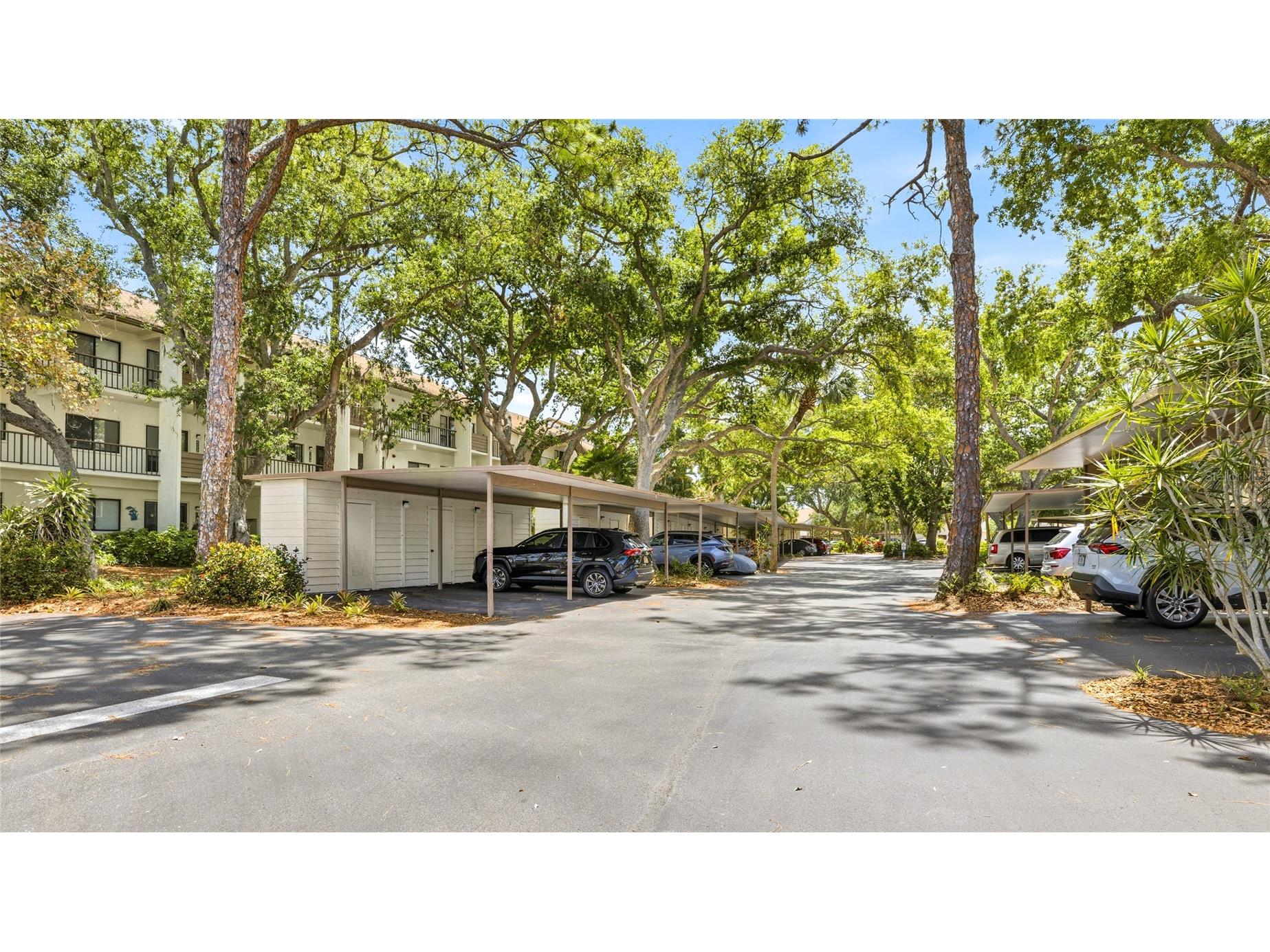 1176 Bird Bay Way #207 Venice FL 34285 A4692852 image3
