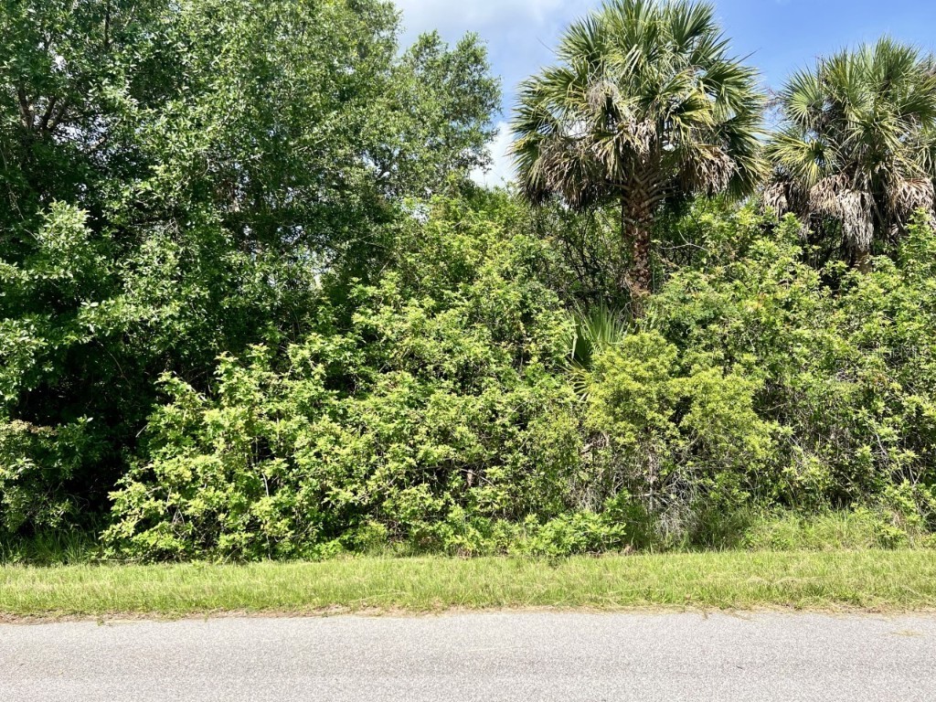 1176 Butterfield Drive Port Charlotte FL 33953 C7460738 image1