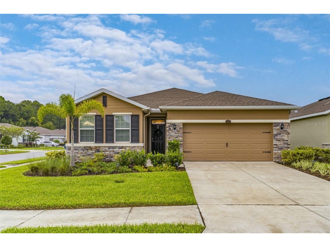 1176 Pipestone Place Wesley Chapel FL 33543 T3463111 image1