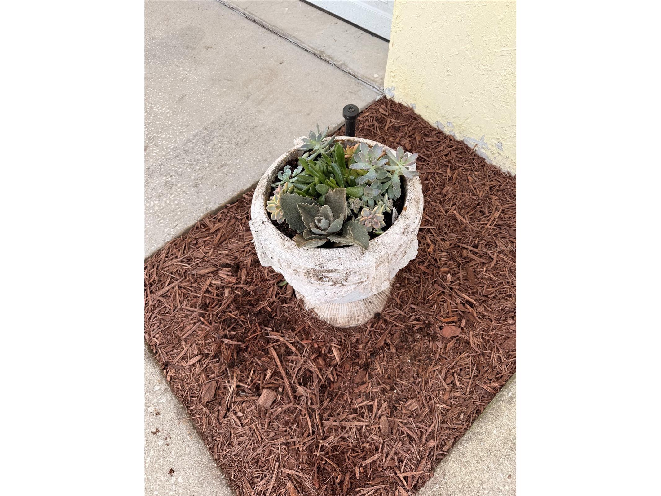 1176 W Buttonbush Dr Beverly Hills FL 34465 W7884053 image66