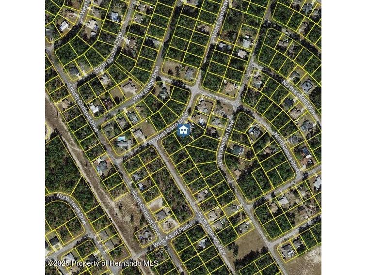 1176 W Cairo Drive Citrus Springs FL 34434 W7878974 image2