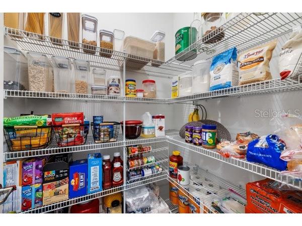 11760 Winterset Cove Drive Riverview FL 33579 TB8431578 image11