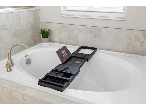 11760 Winterset Cove Drive Riverview FL 33579 TB8431578 image18