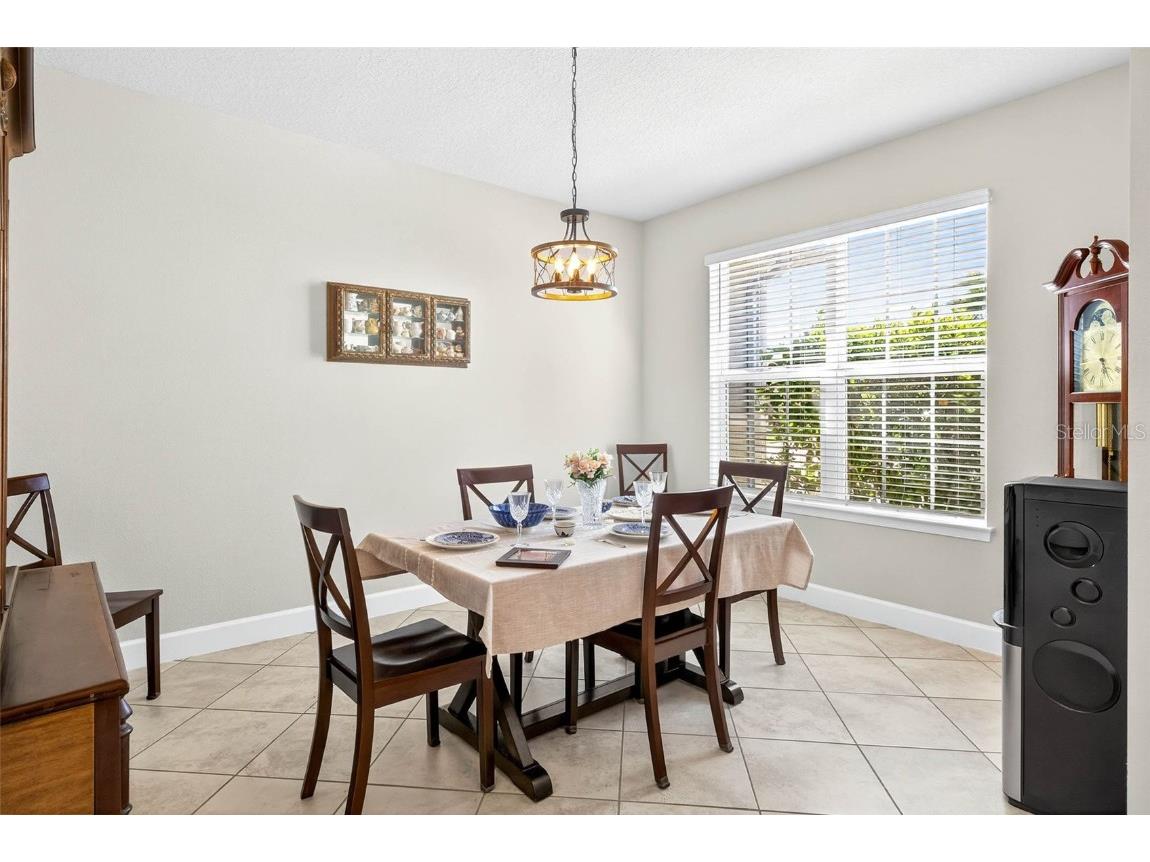 11761 Lake Lucaya Drive Riverview FL 33579 TB8431346 image15