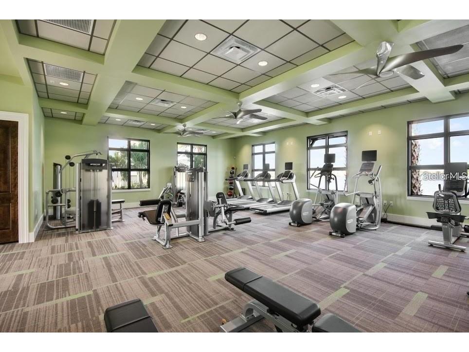 11761 Lake Lucaya Drive Riverview FL 33579 TB8431346 image88