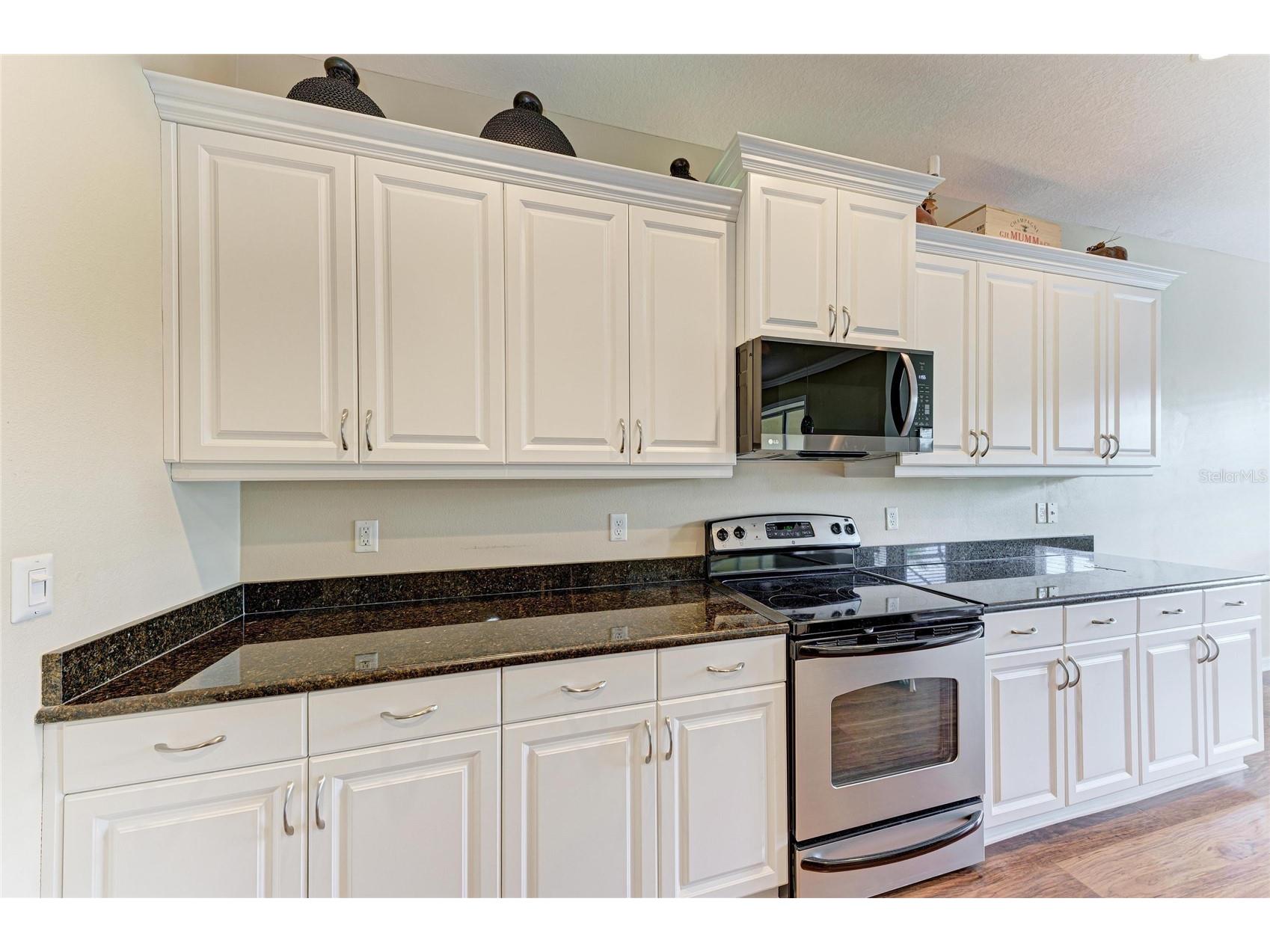 11763 Fennemore Way Parrish FL 34219 A4695465 image13