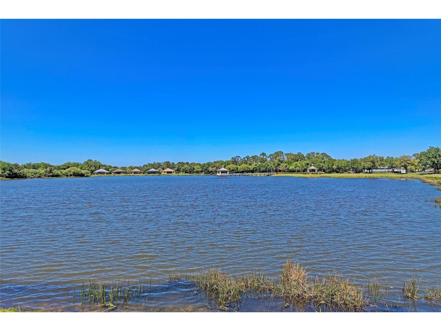11763 Fennemore Way Parrish FL 34219 A4695465 image52