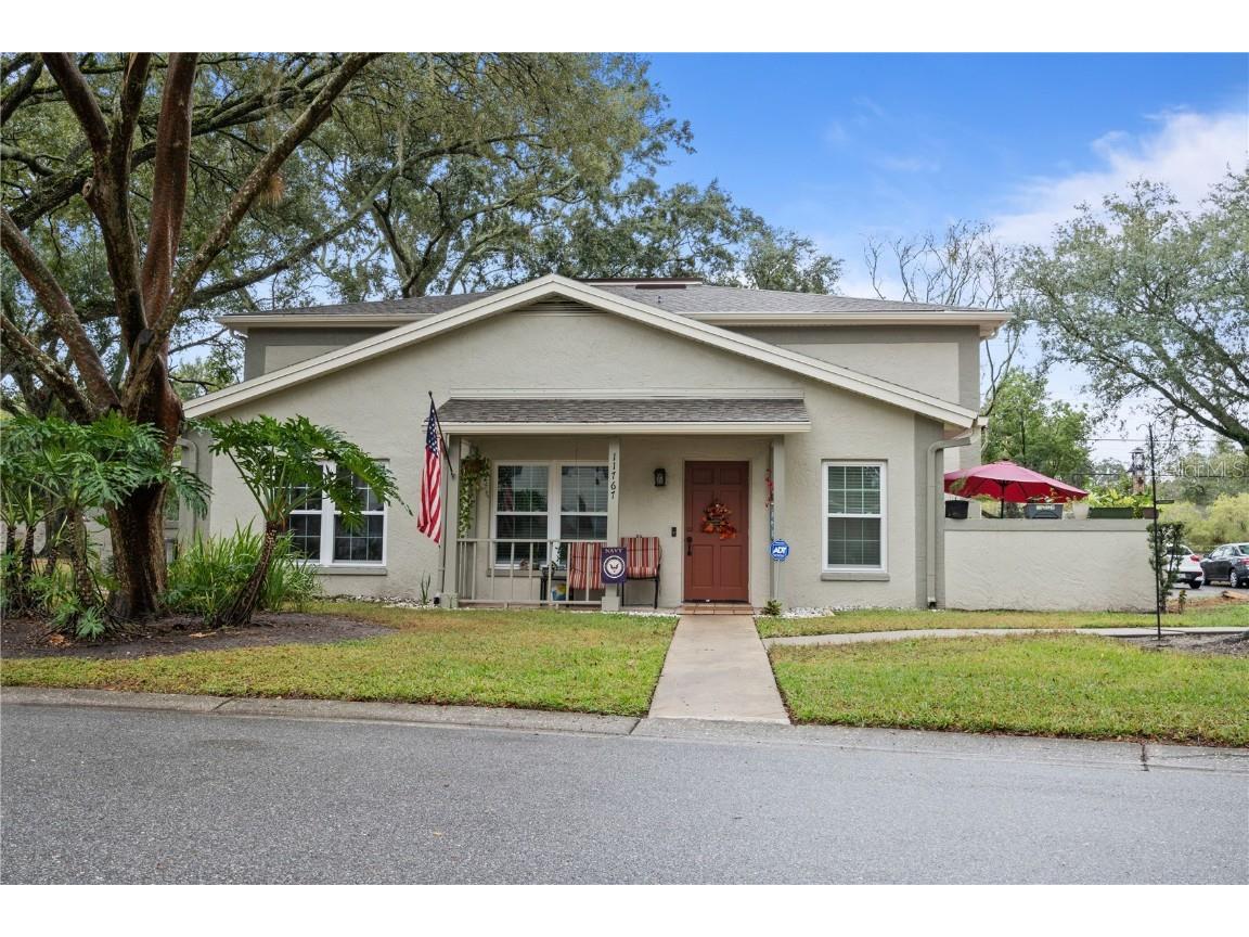 11767 Raintree Drive #11767 Tampa FL 33617 T3512884 image1