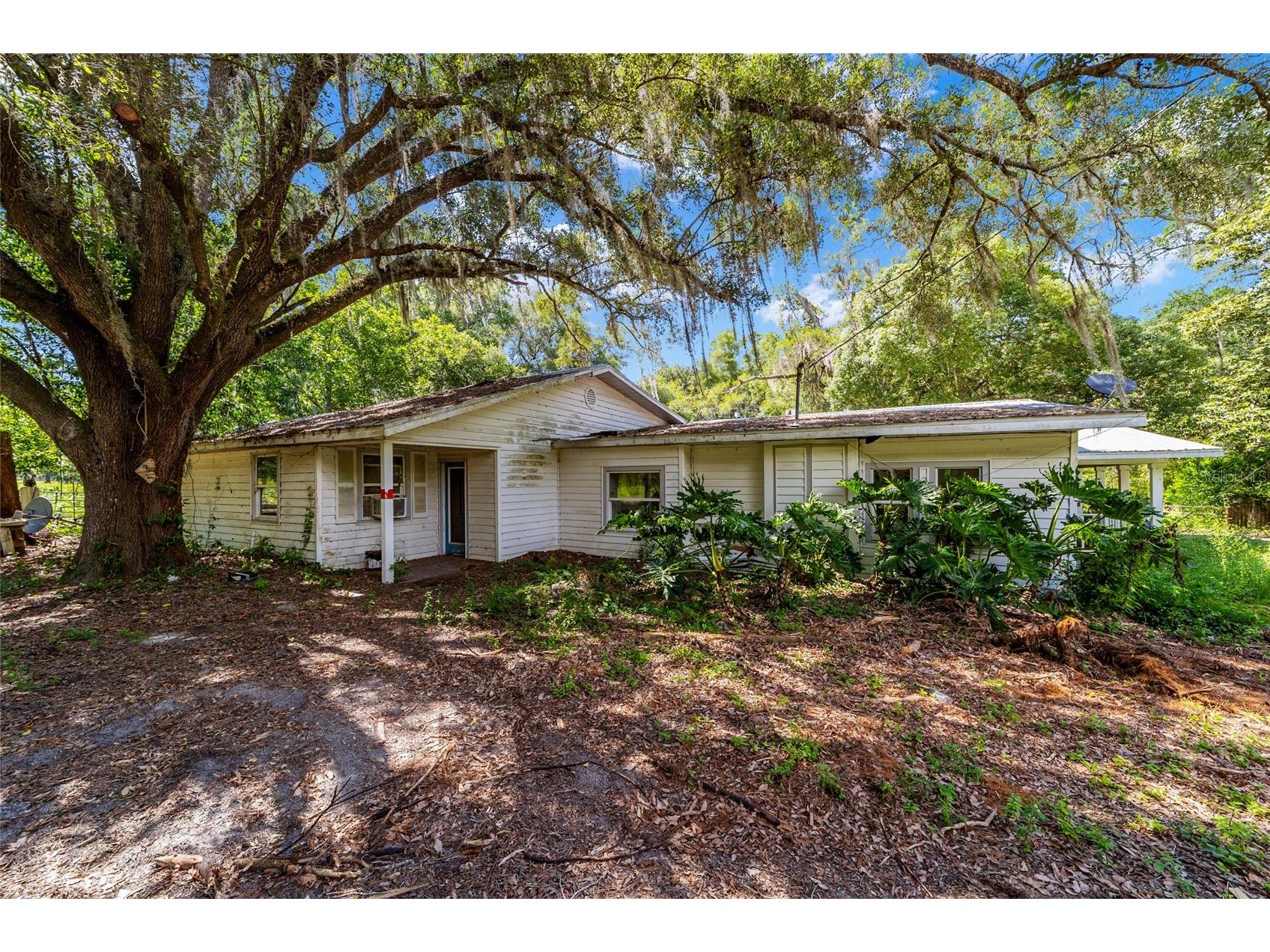 11768 N Gatlen Avenue Dunnellon FL 34433 TB8519813 image21