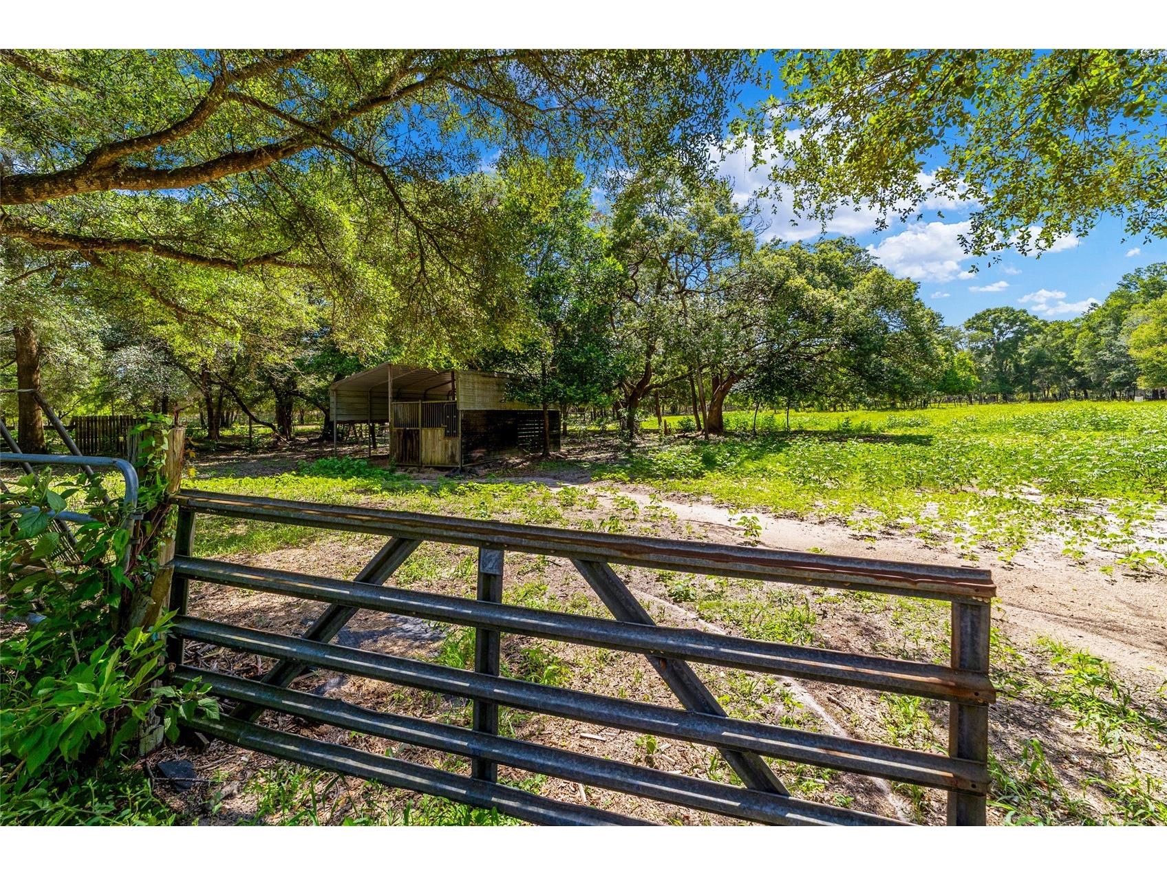 11768 N Gatlen Avenue Dunnellon FL 34433 TB8519813 image26