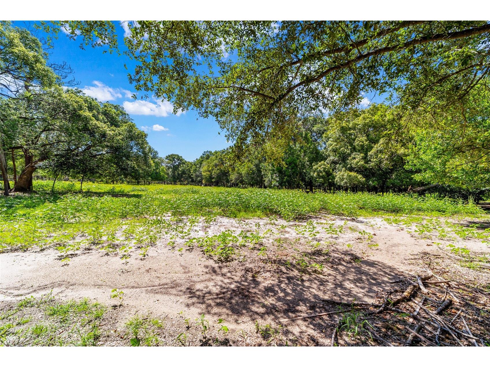 11768 N Gatlen Avenue Dunnellon FL 34433 TB8519813 image27
