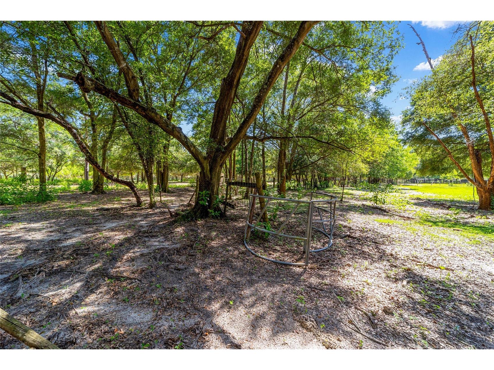 11768 N Gatlen Avenue Dunnellon FL 34433 TB8519813 image30