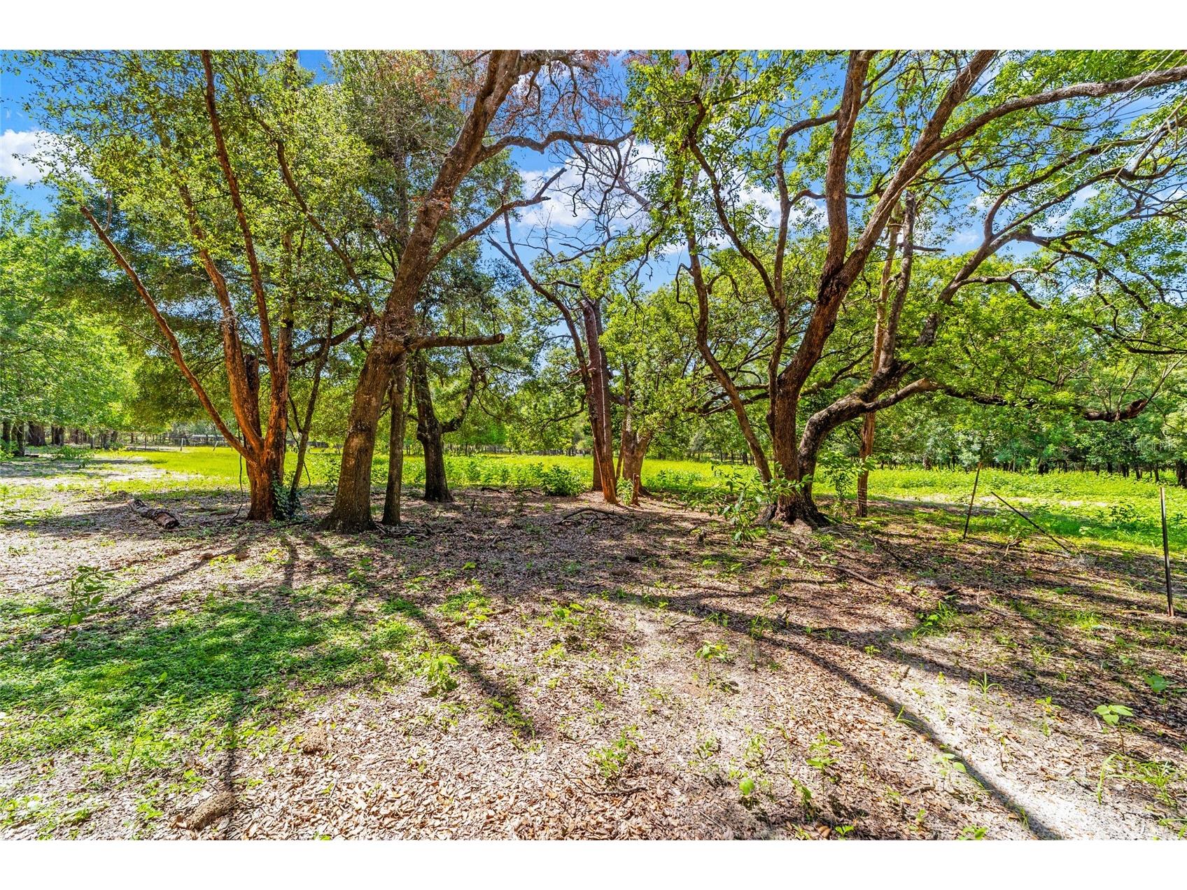 11768 N Gatlen Avenue Dunnellon FL 34433 TB8519813 image32