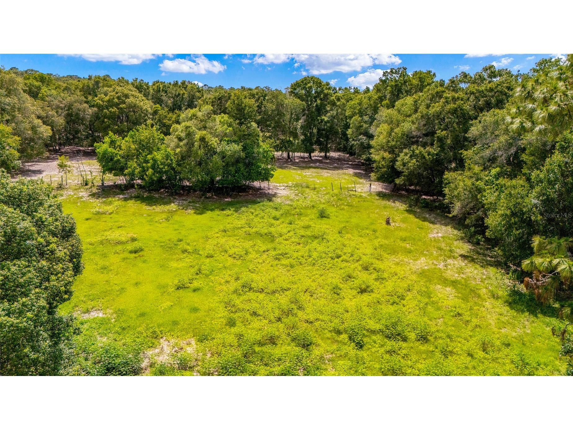 11768 N Gatlen Avenue Dunnellon FL 34433 TB8519813 image49