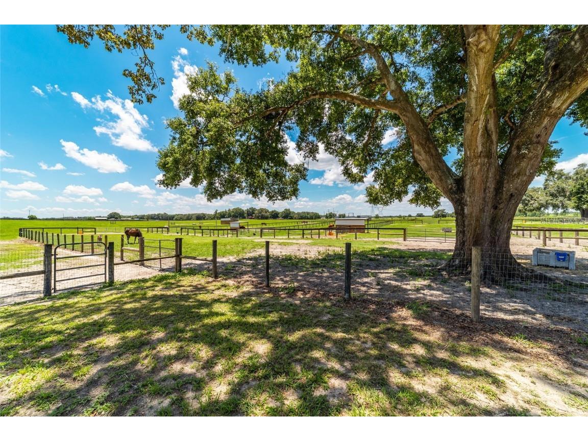 1177 NW 102nd Boulevard Wildwood FL 34785 OM714267 image36