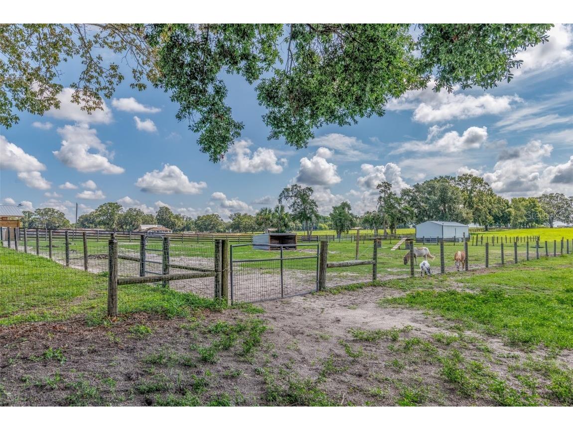 1177 NW 102nd Boulevard Wildwood FL 34785 OM714267 image37