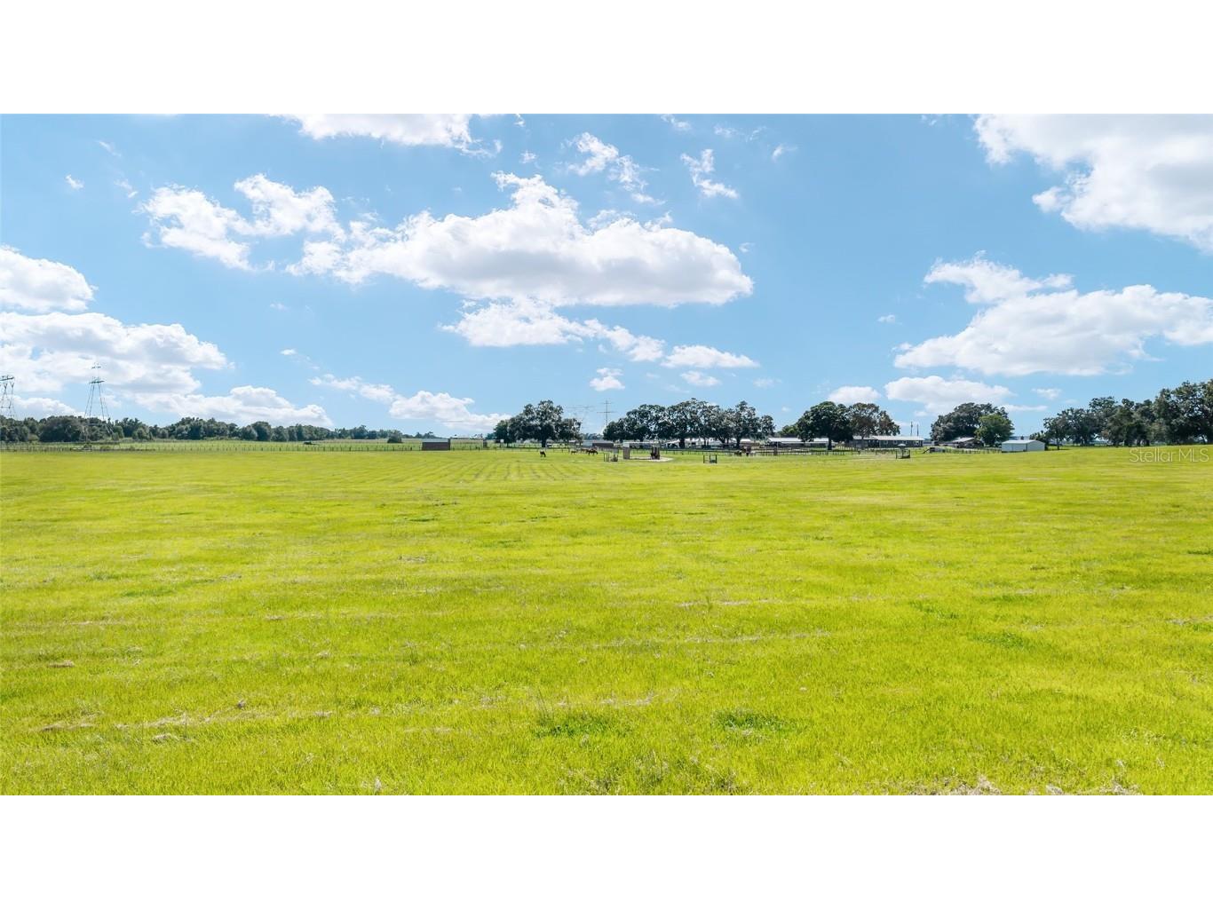 1177 NW 102nd Boulevard Wildwood FL 34785 OM714267 image83