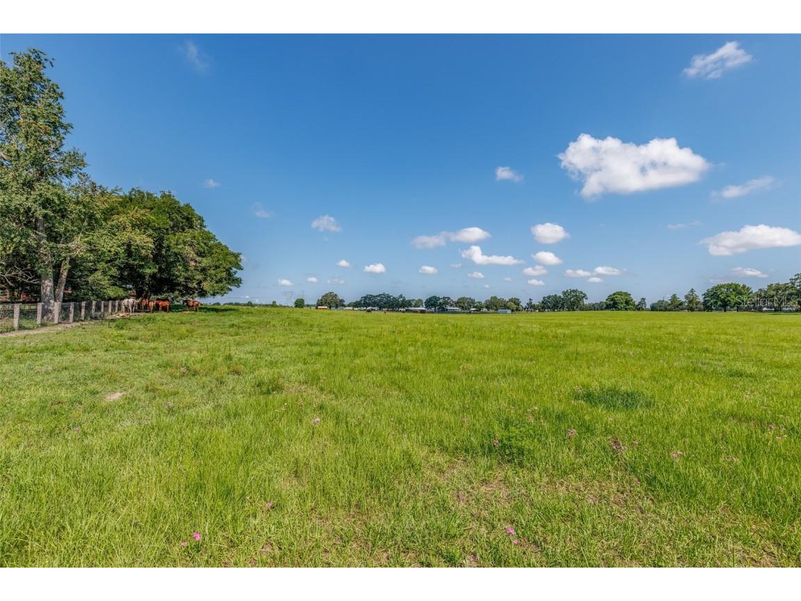 1177 NW 102nd Boulevard Wildwood FL 34785 OM714267 image87