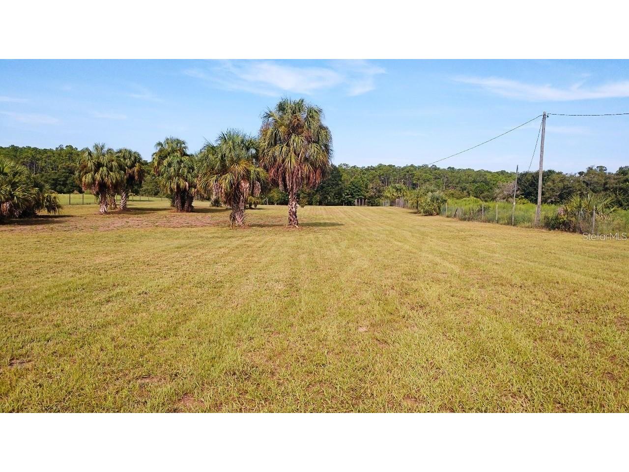 1177 Pfundstein Road Babson Park FL 33827 O6411898 image11