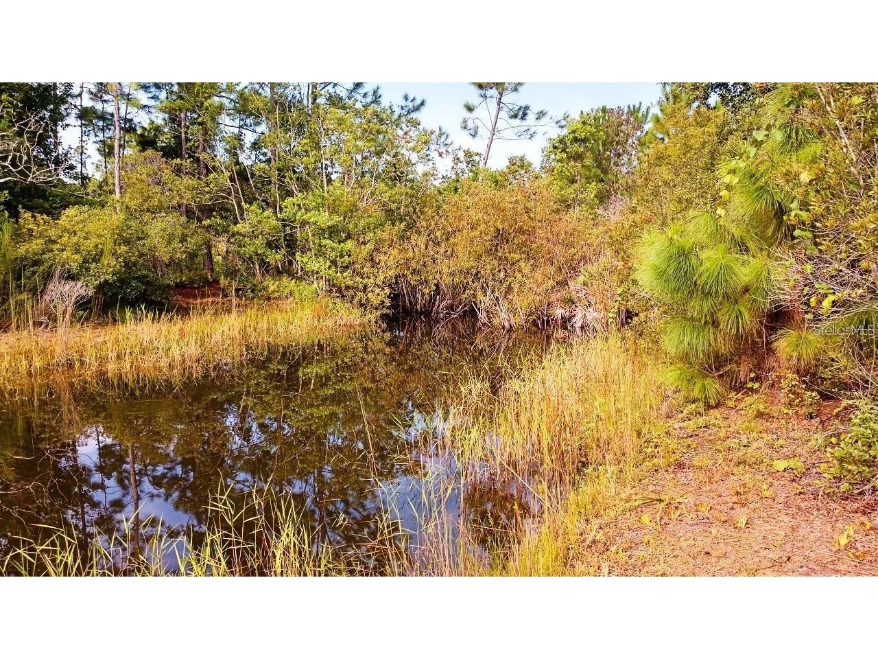 1177 Pfundstein Road Babson Park FL 33827 O6411898 image13