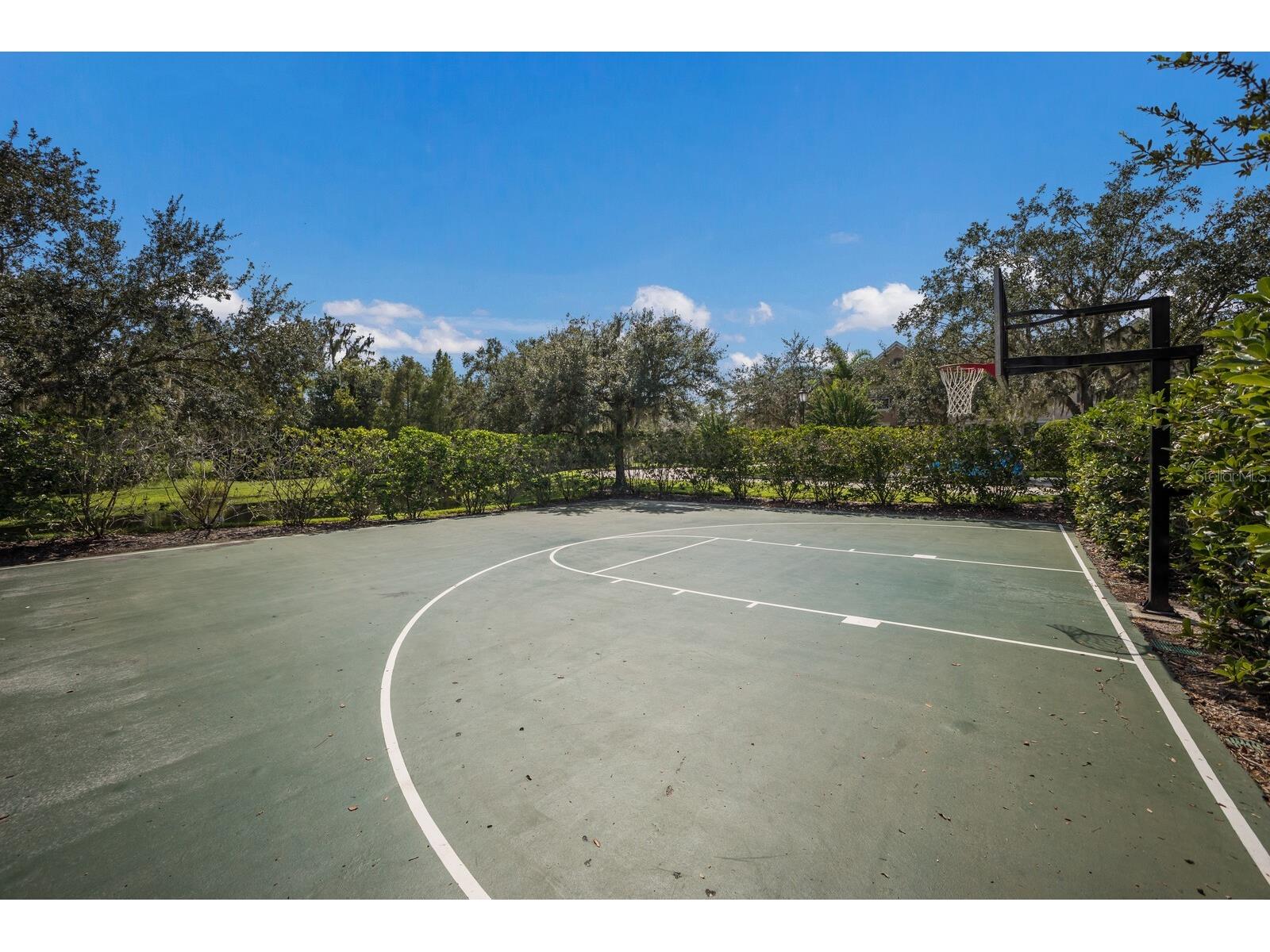 11770 Hidden Forest Loop Parrish FL 34219 A4681218 image62