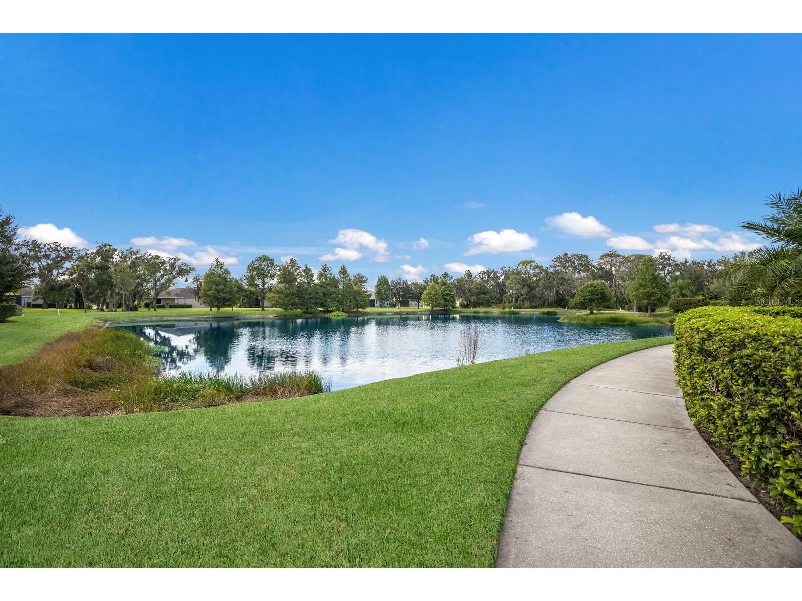 11770 Hidden Forest Loop Parrish FL 34219 A4681218 image70