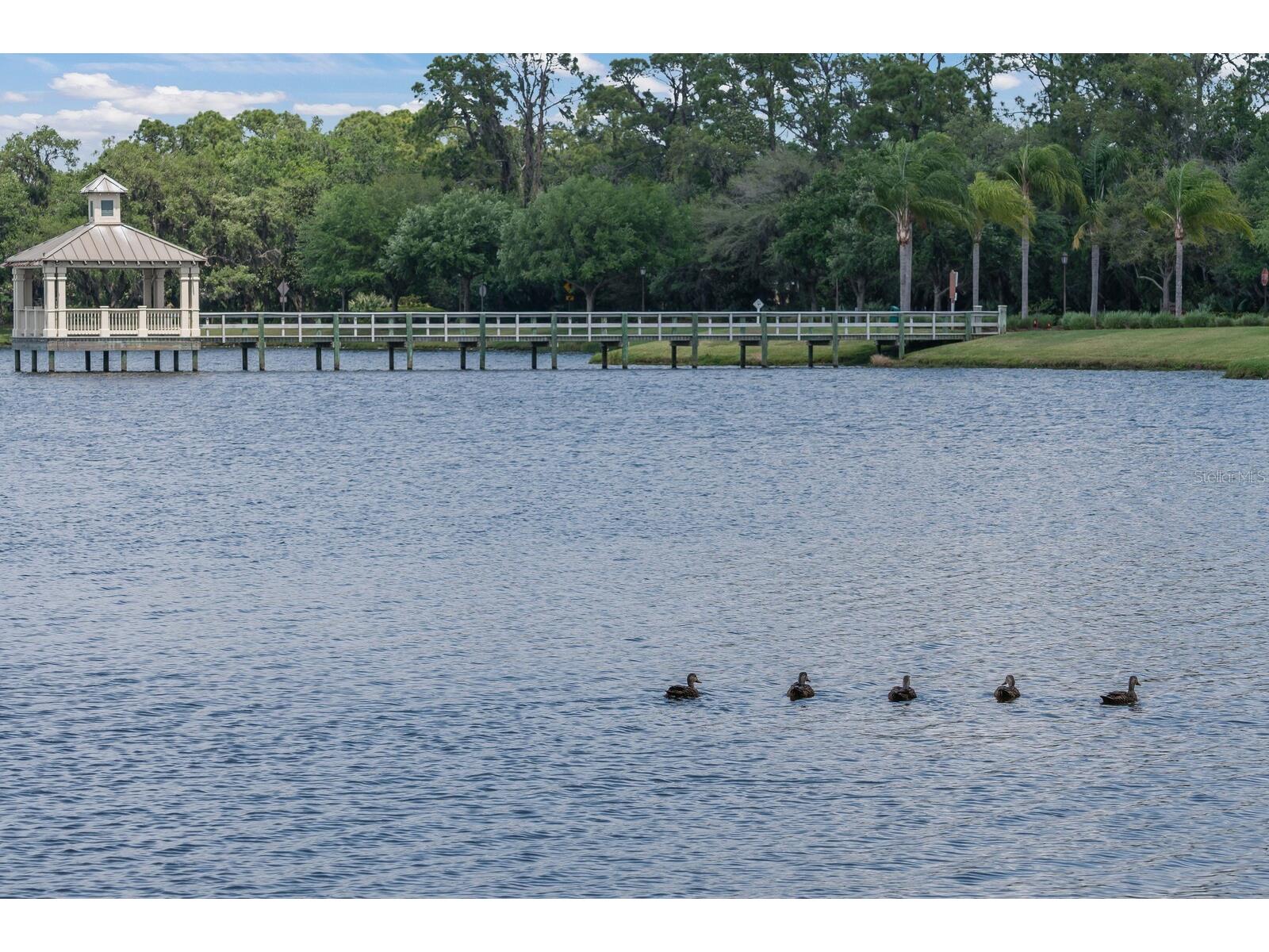 11770 Hidden Forest Loop Parrish FL 34219 A4681218 image72