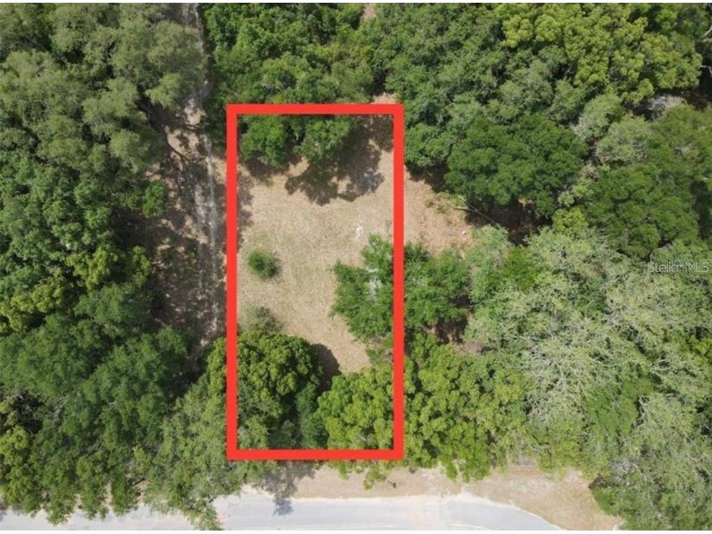 11772 SE 139th Terrace Ocklawaha FL 32179 T3546762 image1
