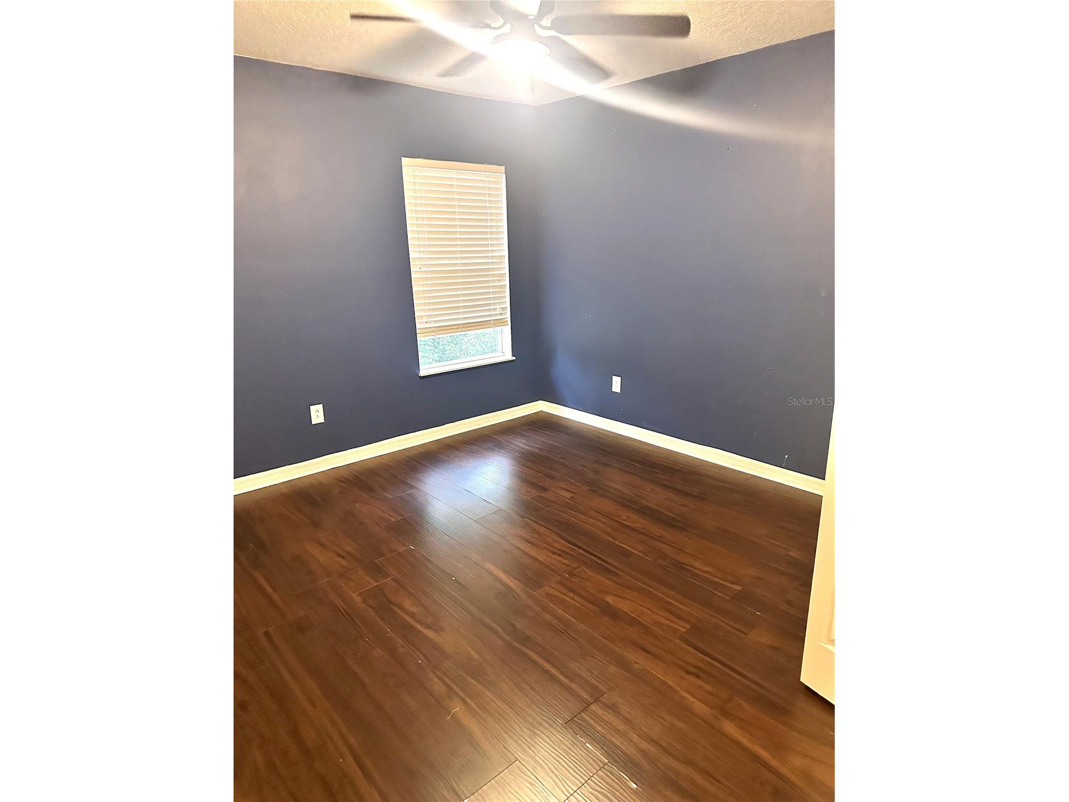 11773 Bella Milano Court Windermere FL 34786 O6426386 image26