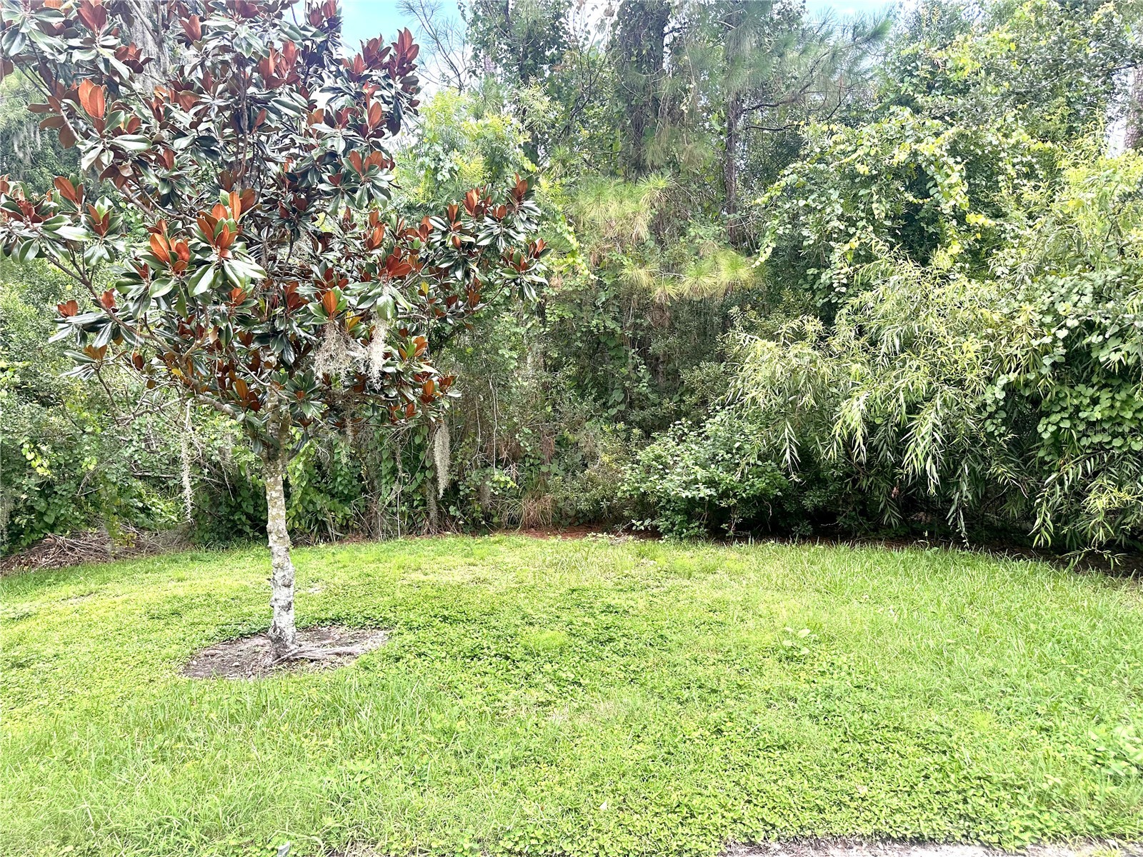 11773 Bella Milano Court Windermere FL 34786 O6426386 image30