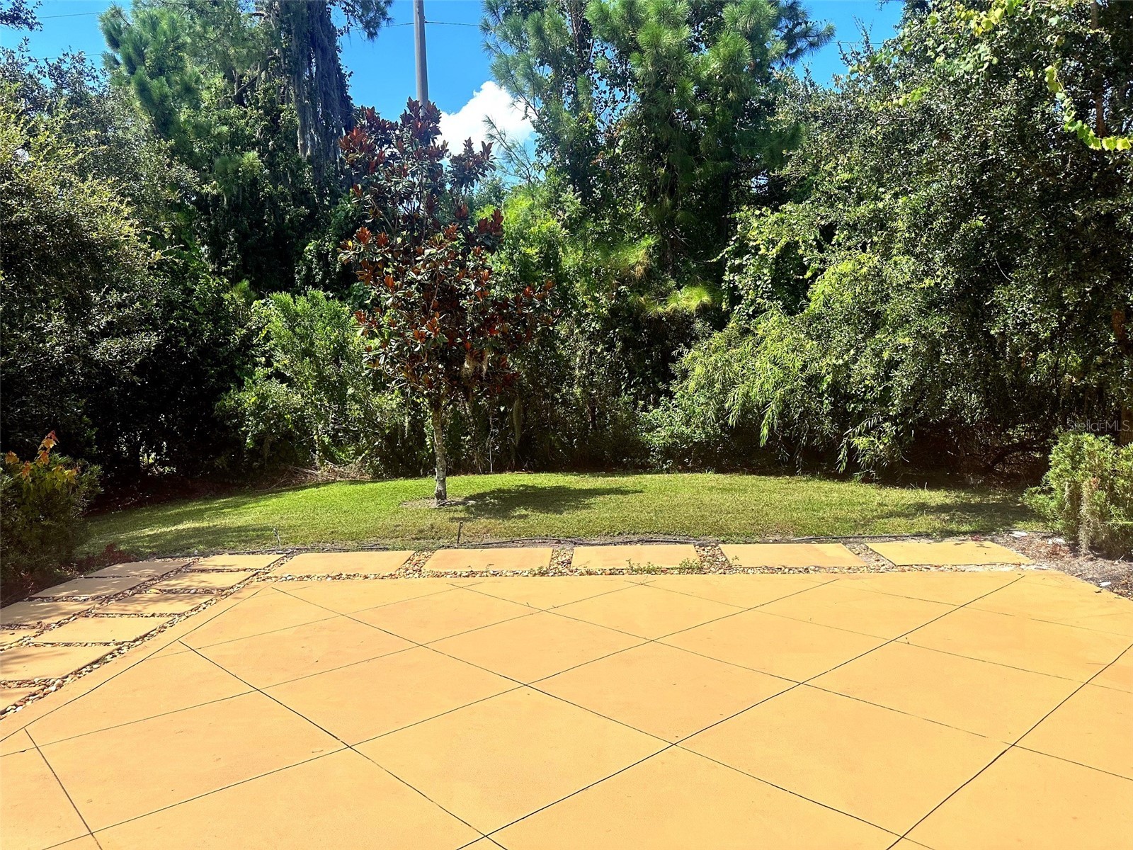 11773 Bella Milano Court Windermere FL 34786 O6426386 image31